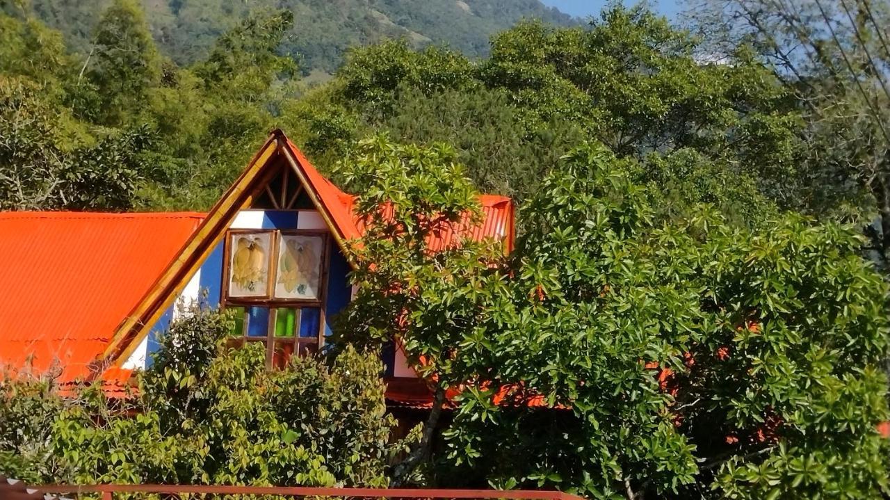 Hospedaje Rural Tupinamba Ibagué 外观 照片
